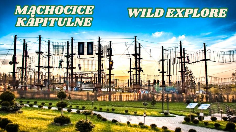 3 aqua Cogito (4).png