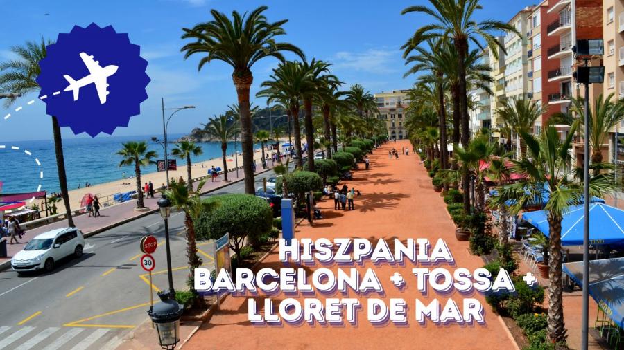 Kopia – 3 aqua Cogito (2).jpg