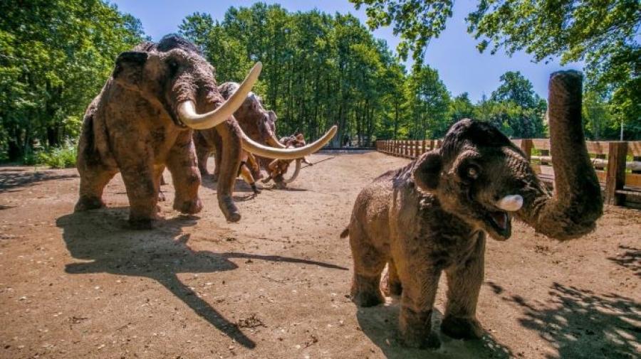 Park Ewolucji Sławutówko - Fot.T.Iwanski91 (Large).jpg